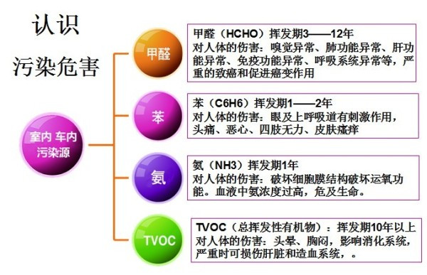 都說吊蘭除甲醛杠杠的,是這樣嗎?